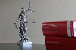 Agent veroordeeld voor schieten op tractor tijdens boerenprotest