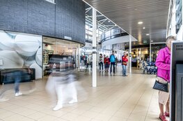 Koop hyacinten en steun jonge mensen met kanker: Hyacintenactie in Tjongerschans op vrijdag 26 januari