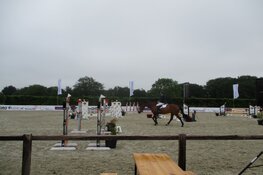 Succesvolle Concours Hippique Oranjewoud