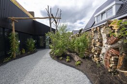 GreenInclusive opent de deuren van biobased voorbeeldwoning in Nieuwehorne