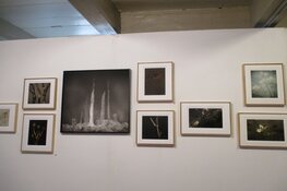 Kunstroute de Open stal in Oldeberkoop trekt de nodige bezoekers