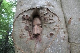 Kunstroute de Open stal in Oldeberkoop trekt de nodige bezoekers