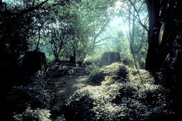 Tentoonstelling 100 jaar is niets! in Museum Heerenveen