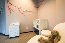 Beschermde wiegkamer in Tjongerschans