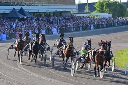 Peerdepieten 2025 - Studenten Diergeneeskunde schitteren op Victoria Park Wolvega