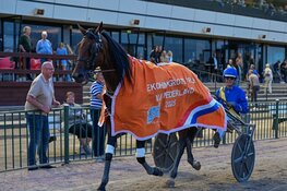 Succesvolle seizoensopening op Victoria Park Wolvega – Jim Veldman wint Grote Prijs van Nederland