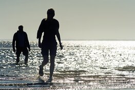 Wadlopen en Droogvallen in Friesland