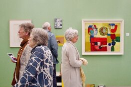 Museum Belvédère presenteert:  Art Noord VII