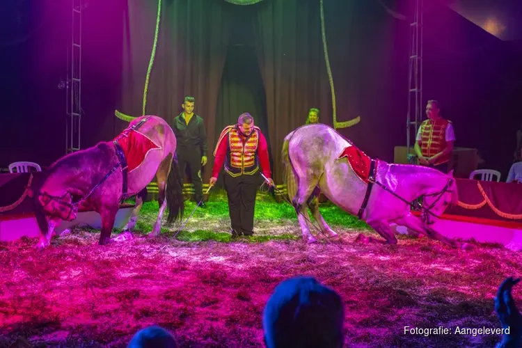 Circus Bossle komt wederom naar Heerenveen!