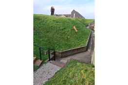 Honden speuren in het Kazemattenmuseum