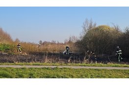 Brandweer blust brand in natuurgebied bij Wolvega