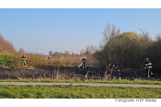 Brandweer blust brand in natuurgebied bij Wolvega