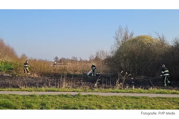 Brandweer blust brand in natuurgebied bij Wolvega