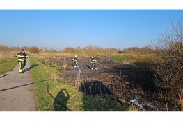 Brandweer blust brand in natuurgebied bij Wolvega