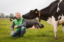 Campina Open Boerderijdagen 2026: boerderijen in Friesland open voor publiek