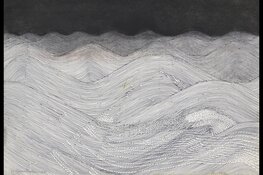Museum Belvédère: Wilhelmina Barns-graham