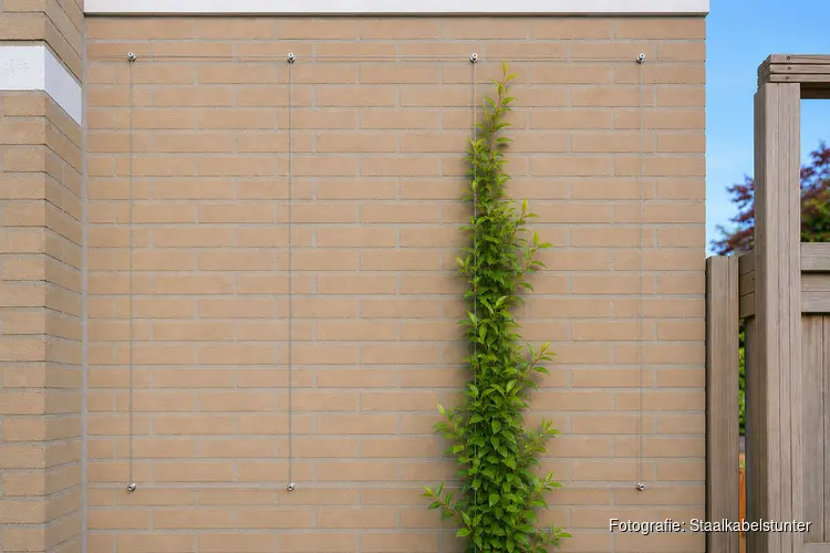 Maak je tuin zomerproof met slimme oplossingen van Staalkabelstunter