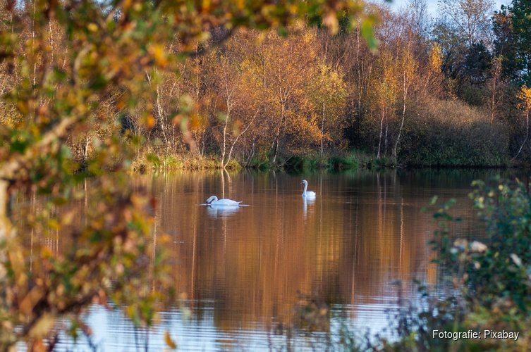Fryslân behaalt doelstelling voor nieuw bos ruimschoots