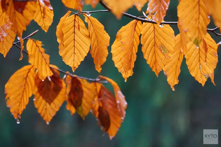 Laatste weekend van augustus zeer wisselvallig: verkoeling zet door met start meteorologische herfst