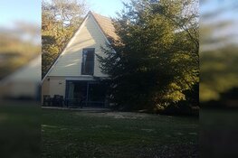 Vakantiebungalows vaak ranzig: poepbacteriën, haren, schimmels, beestjes en vlekken