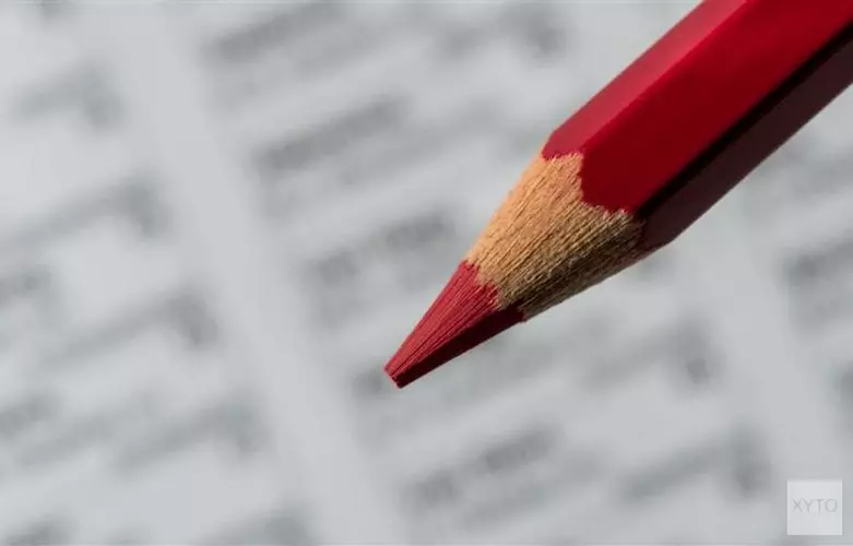 Heerenveense stemwijzer online