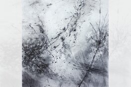 Papier, inkt en natuur door Marijke Pieters in Museum Heerenveen