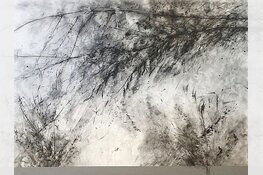 Papier, inkt en natuur door Marijke Pieters in Museum Heerenveen