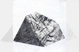 Papier, inkt en natuur door Marijke Pieters in Museum Heerenveen