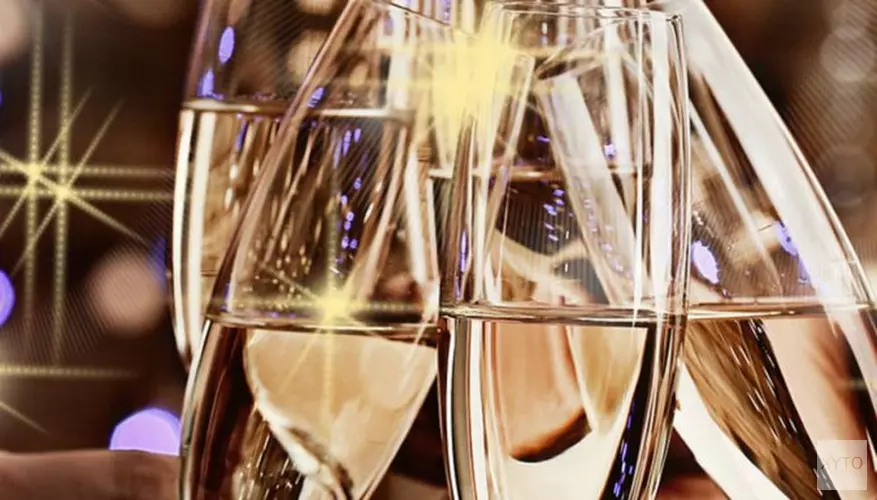 Nieuwjaarsreceptie voor ‘ondernemend Heerenveen’