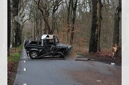 Flinke aanrijding met boom in Sint Nicolaasga