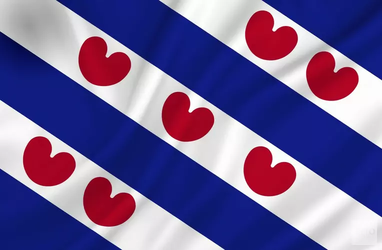 Medewerkers gemeente dwaande mei Frysk