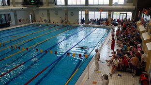 Zuyderzee Masters Circuit zwemmen Sportstad Heerenveen druk bezocht