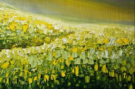 Expositie Rabbo Ploeger in Museum Heerenveen