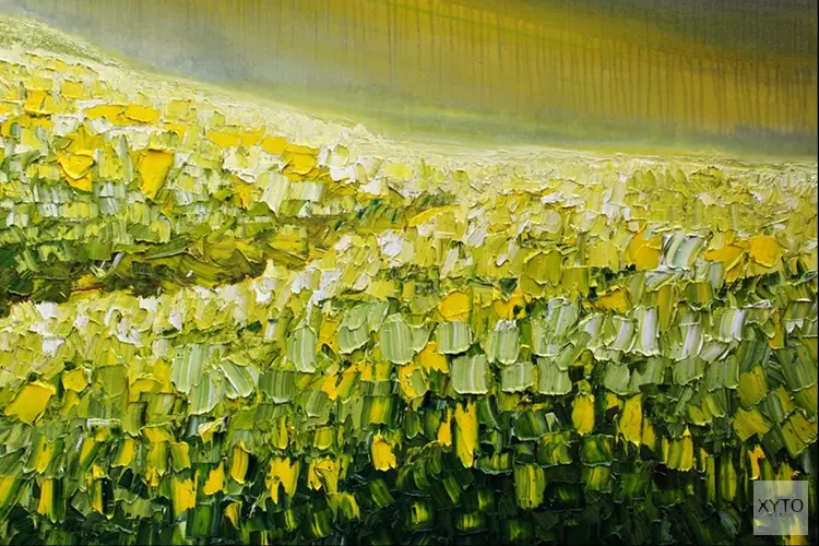 Expositie Rabbo Ploeger in Museum Heerenveen