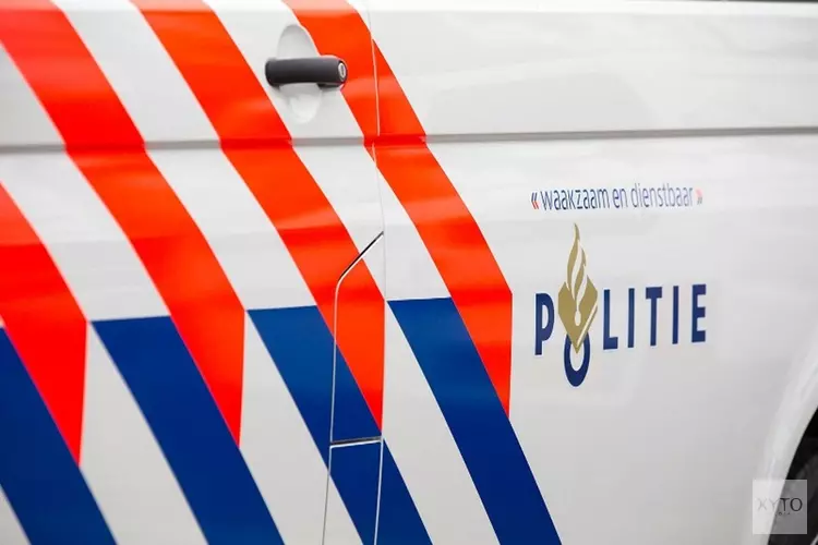 Meerdere auto-inbraken De Heide