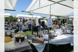 Schaapscheerdag schaapskudde Heerenveen druk bezocht