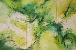 Expositie Heerenveen Museum