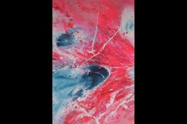 Expositie Heerenveen Museum