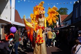 Veel bezoekers op het Lindefestival in Wolvega