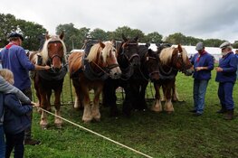 Drukte op het Flaeijelfeest in Nieuwehorne