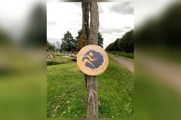 Gouden Plak Event Academy: Draaiboek & Duurzaamheid