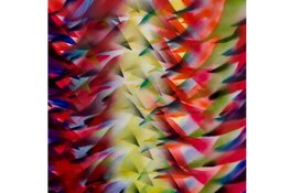 Tsead Bruinja tentoonstelling in de Pronkkaemer vrijdag 6 december