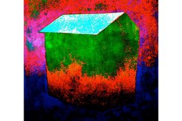 Tsead Bruinja tentoonstelling in de Pronkkaemer vrijdag 6 december