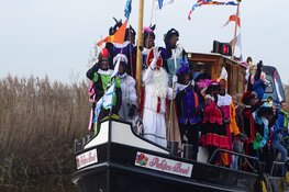 Sinterklaas intocht wijk De Greiden in Heerenveen trekt veel publiek