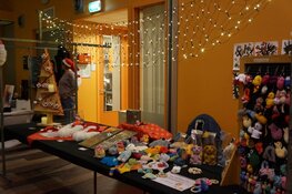 Gezellige drukte op de kerstmarkt in Oudeschoot